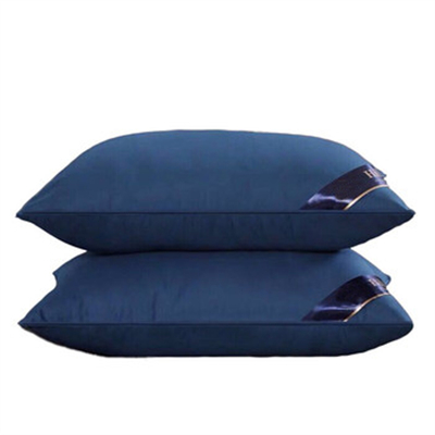 7 Wholesale high quality bantal hotel pillow (1)