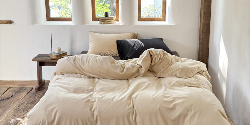 Winter Velvet Flannel 4-Piece Bedding Set with Duvet Cover and Sheet